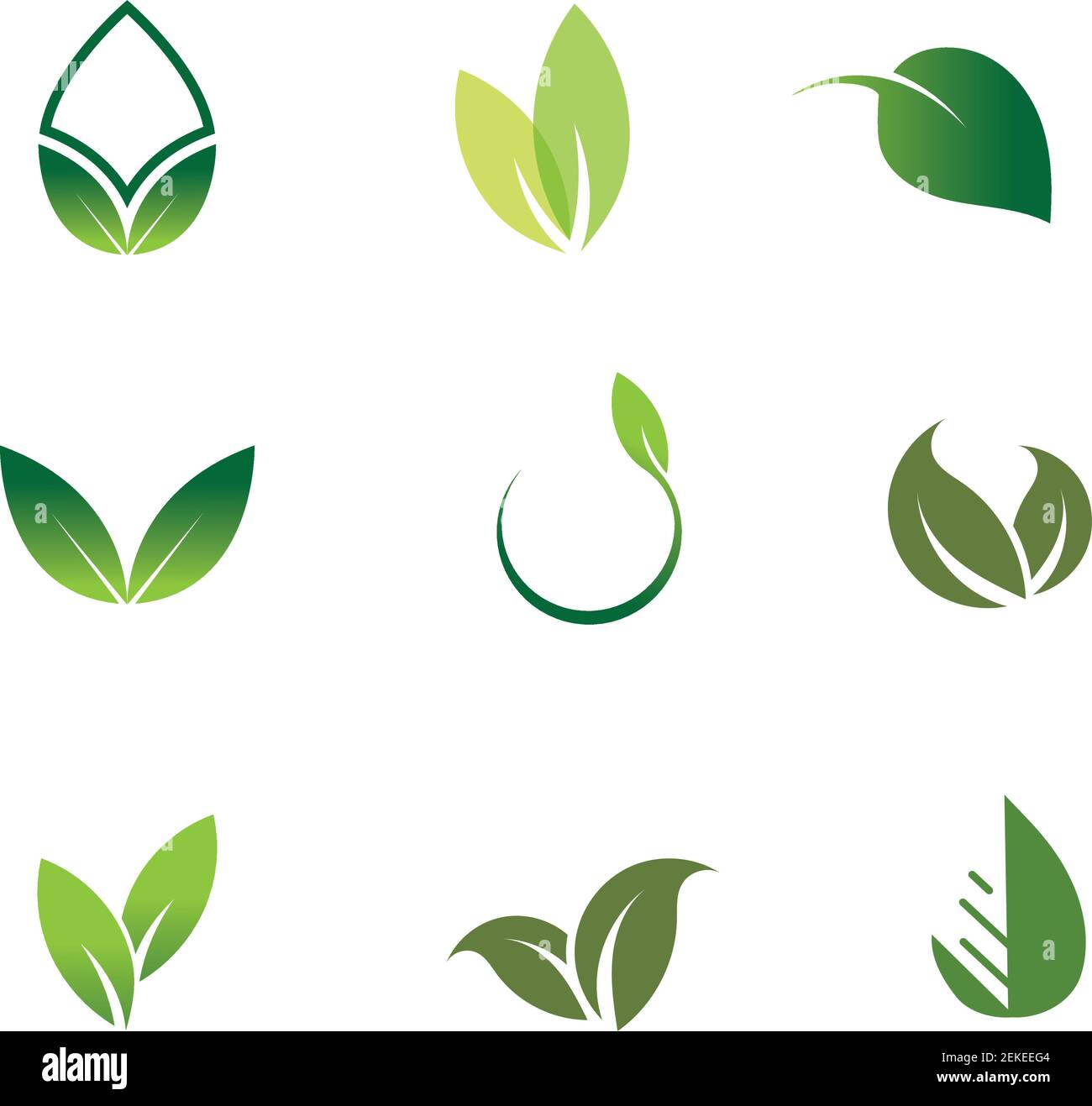 Leaves icon vector set isolated on white background. Various shapes of ...