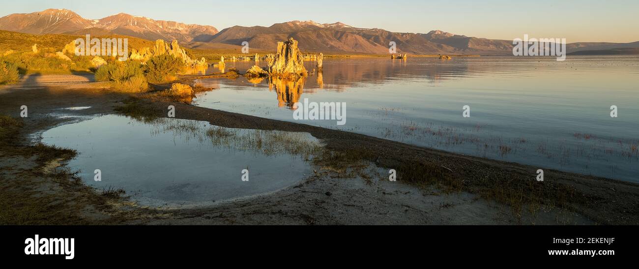 Tufa towers at sunrise, Mono Lake, State Natural Reserve, Mono County, California, USA Stock Photo