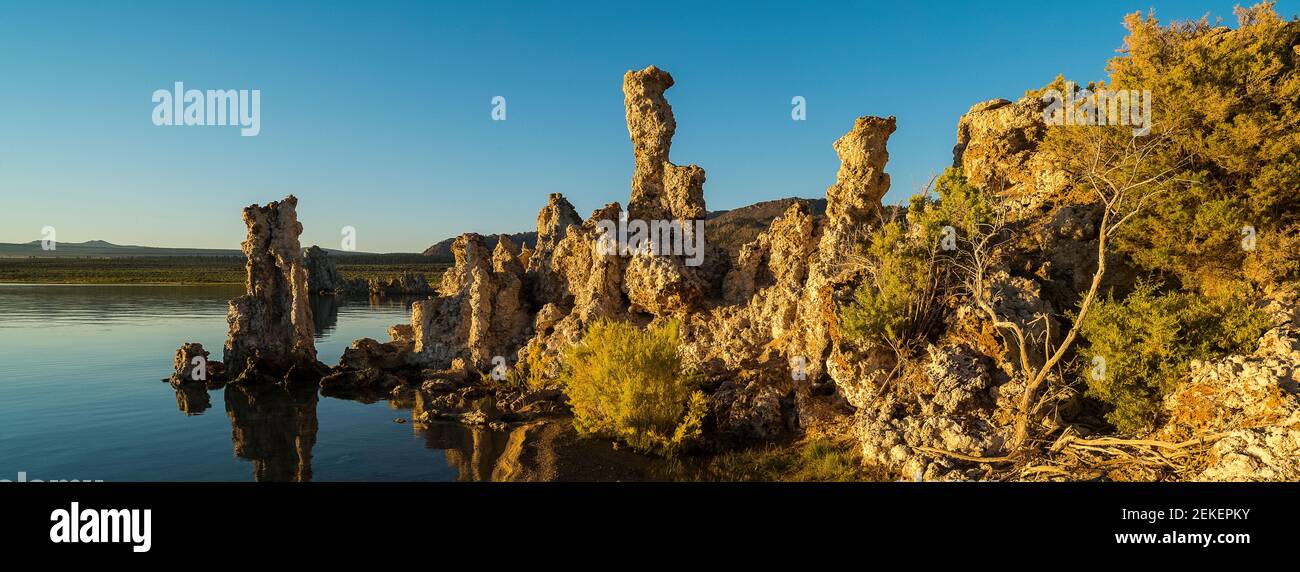 Tufa towers at sunrise, Mono Lake, State Natural Reserve, Mono County, California, USA Stock Photo