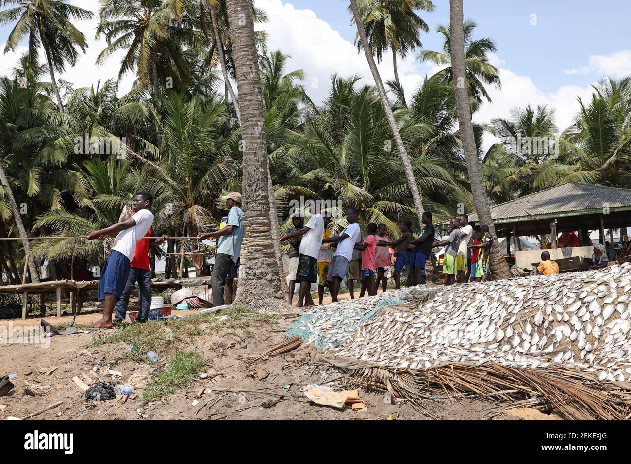 Villagers sharing fish from beach fishing net Cape Coast Ghana. Old ...