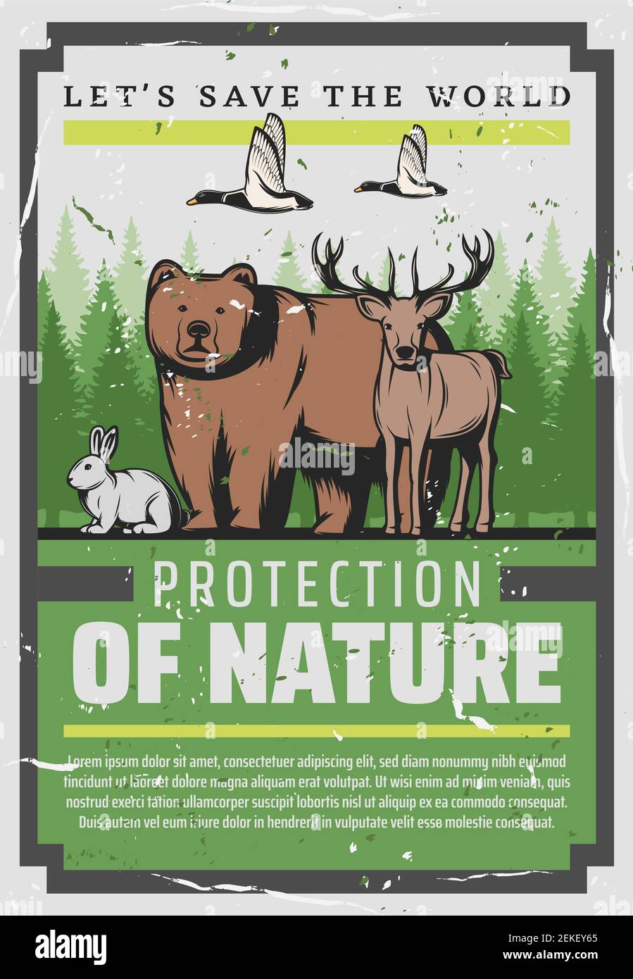 Protect nature, save wild animals vintage poster. Vector Wildlife and World  Animal day, Save World forests and stop poaching on grizzly bear, deer and  Stock Vector Image & Art - Alamy