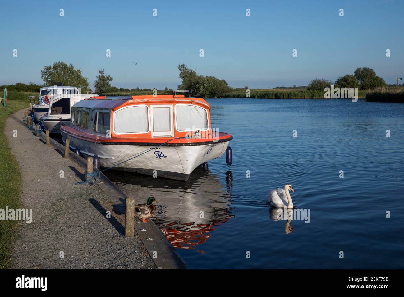 St Benet's Moorings; River Bure; Norfolk; UK Stock Photo