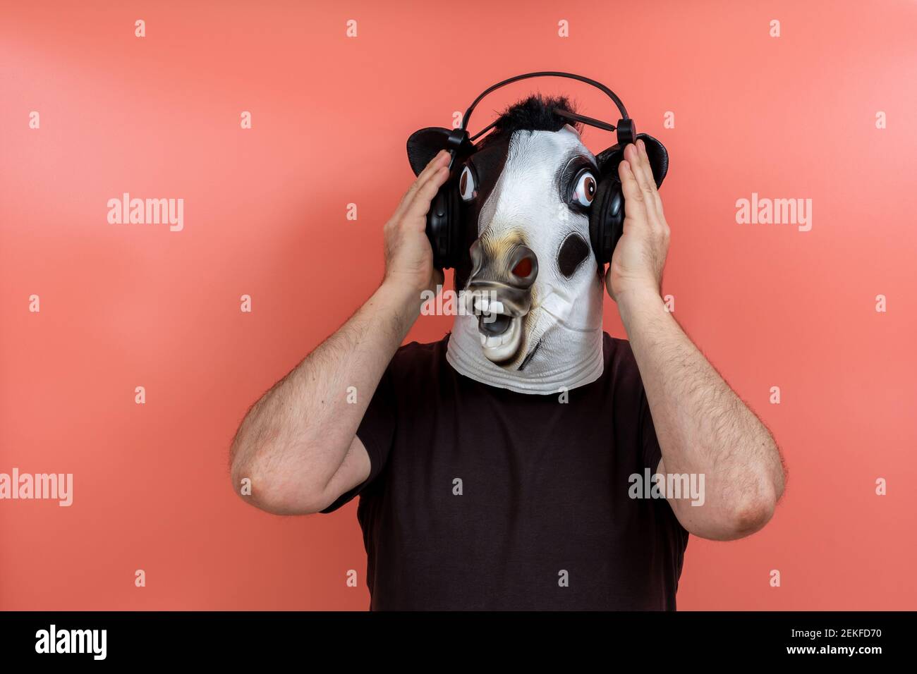 costumed person wearing a cow mask listening music with headphones with a pink background Stock Photo