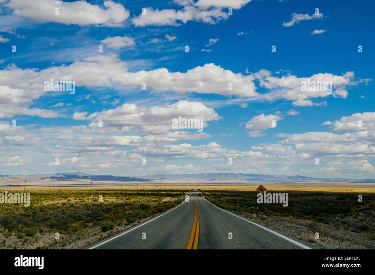 Road through desert, Great Basin National Park, Nevada, USA Stock Photo