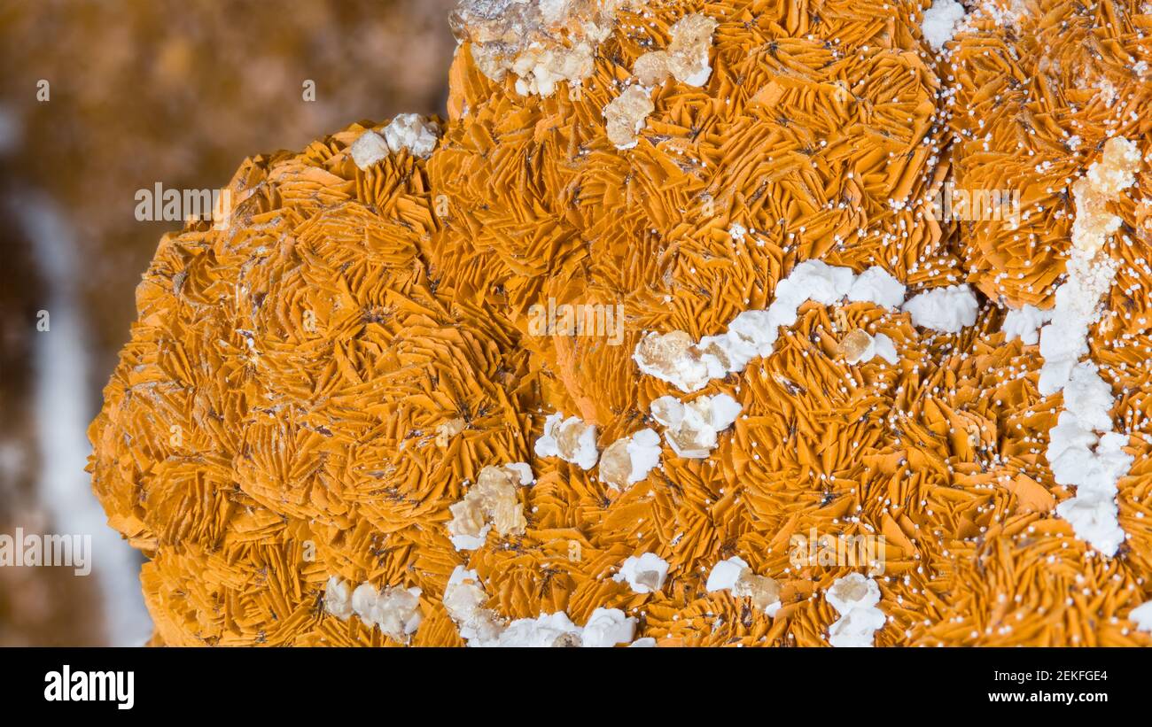 Beautiful texture detail of aragonite in orange or white color with clusters of crystals. Closeup of mineral from calcium carbonate. Collectable piece. Stock Photo