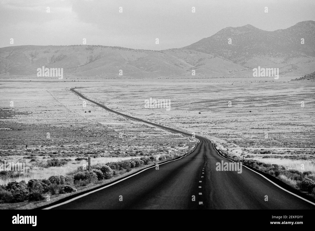 Highway through desert in black and white, Great Basin National Park, Nevada, USA Stock Photo