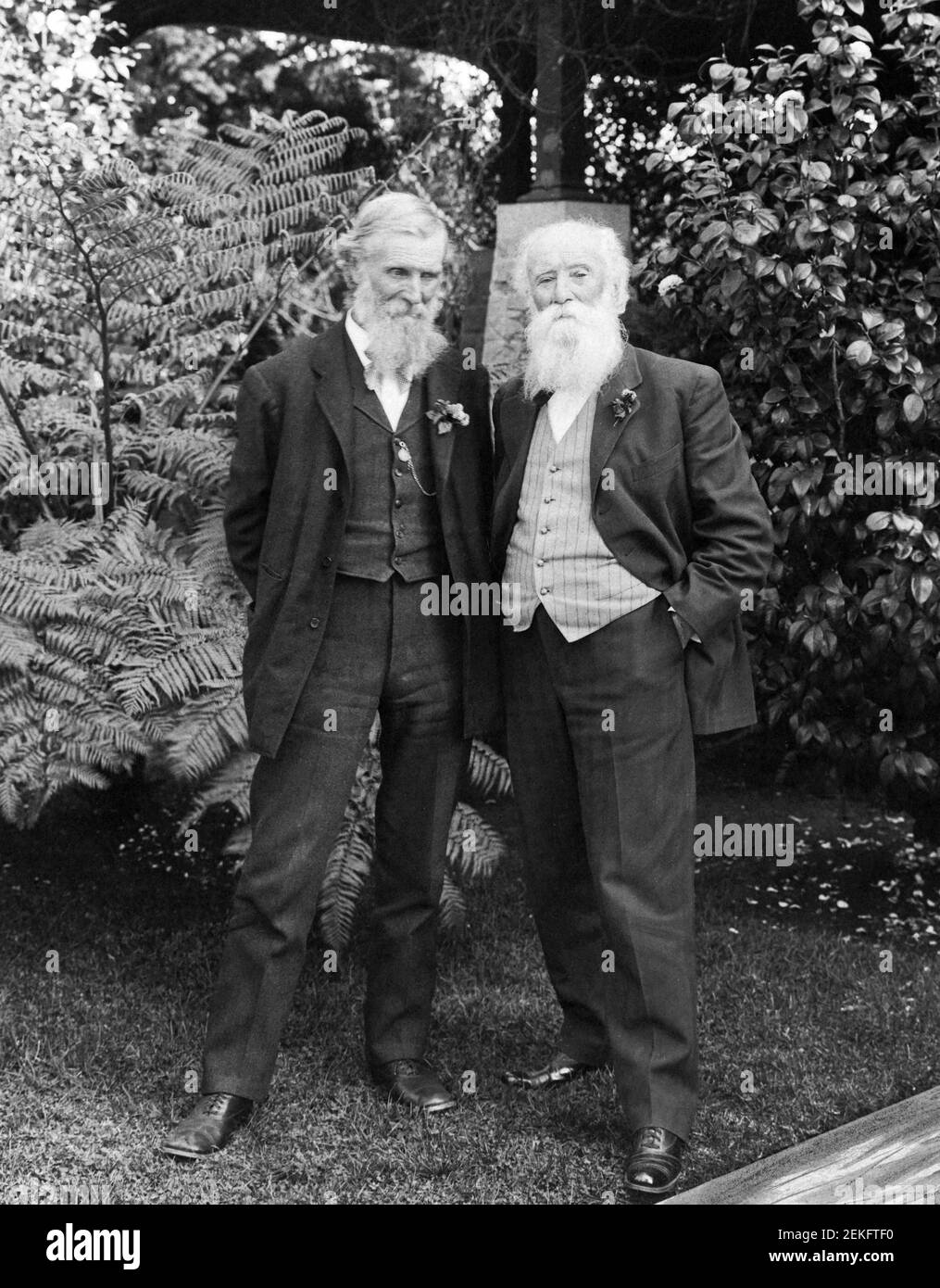 Scottish American naturalist, John Muir (1838-1914) and fellow American naturalist, John Burroughs (1837-1921) in Pasadena, California, c.1909-1912 Stock Photo