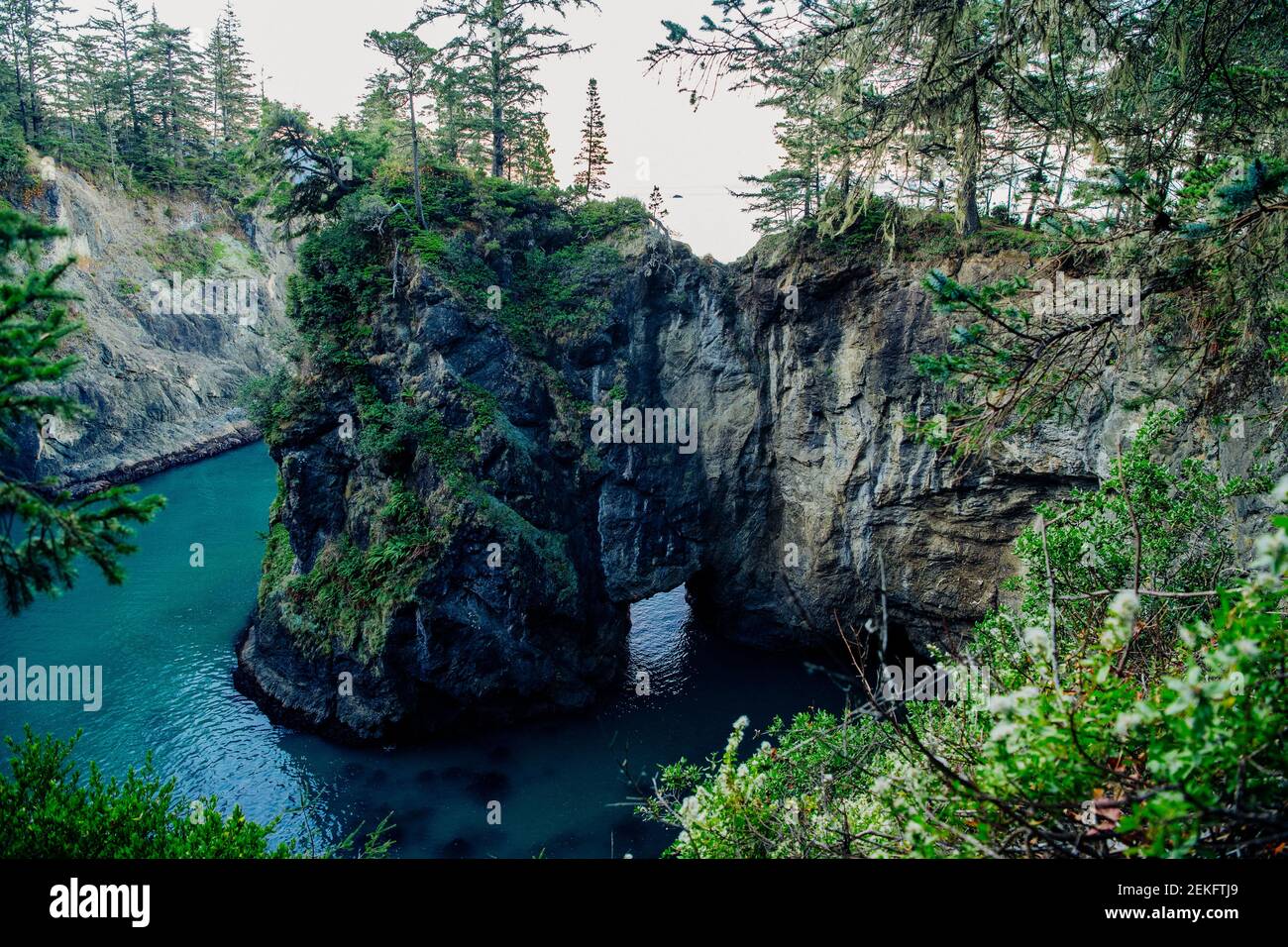 Natural arch in cliff towering over blue sea, Samuel H. Boardman State Park, Brookings, Oregon, USA Stock Photo