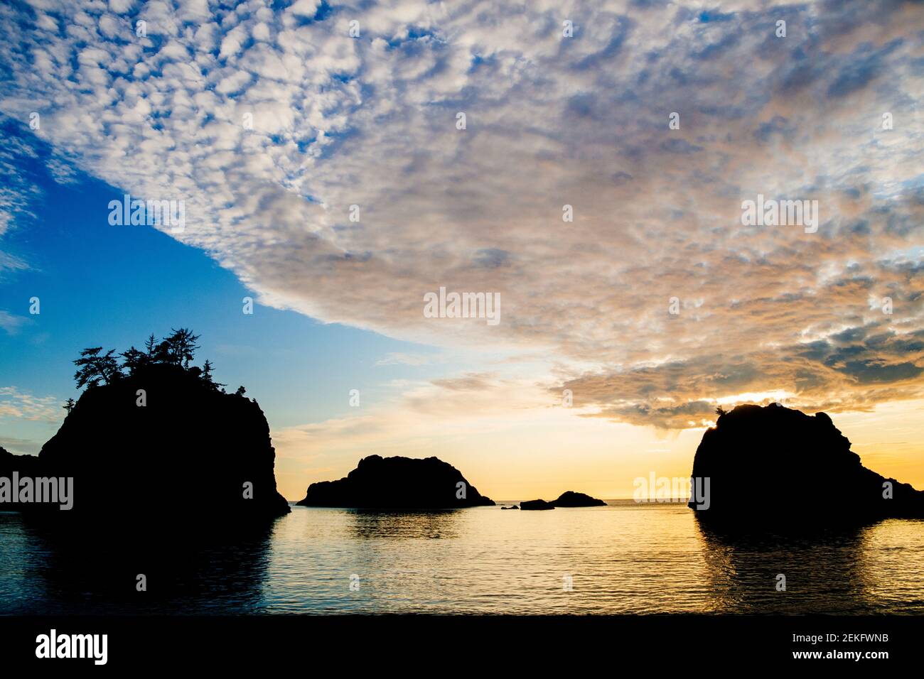Altocumulus clouds over rock formations in sea at sunset, Samuel H. Boardman State Park, Brookings, Oregon, USA Stock Photo