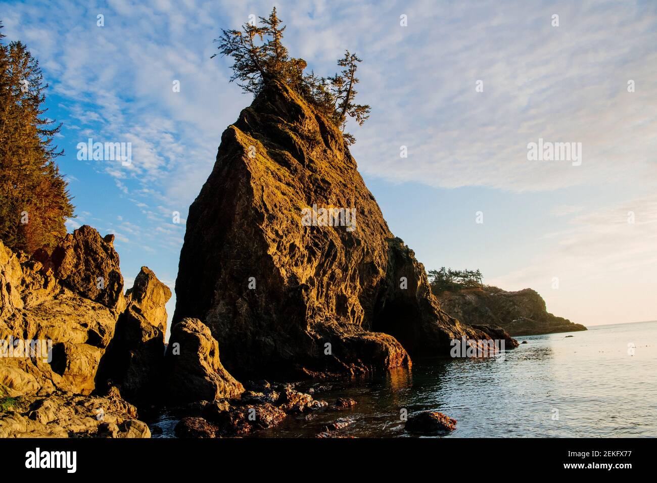 Coastal rock formations at sunset, Samuel H. Boardman State Park, Brookings, Oregon, USA Stock Photo
