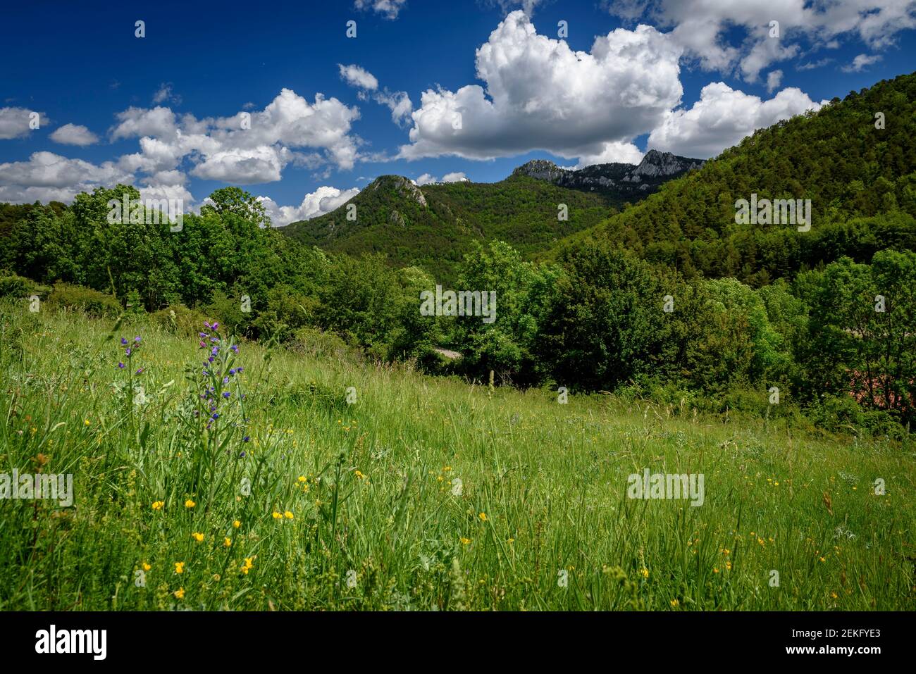 Catllaràs range views from the Falgars Sanctuary in spring (Berguedà, Catalonia, Spain, Pyrenees) Stock Photo