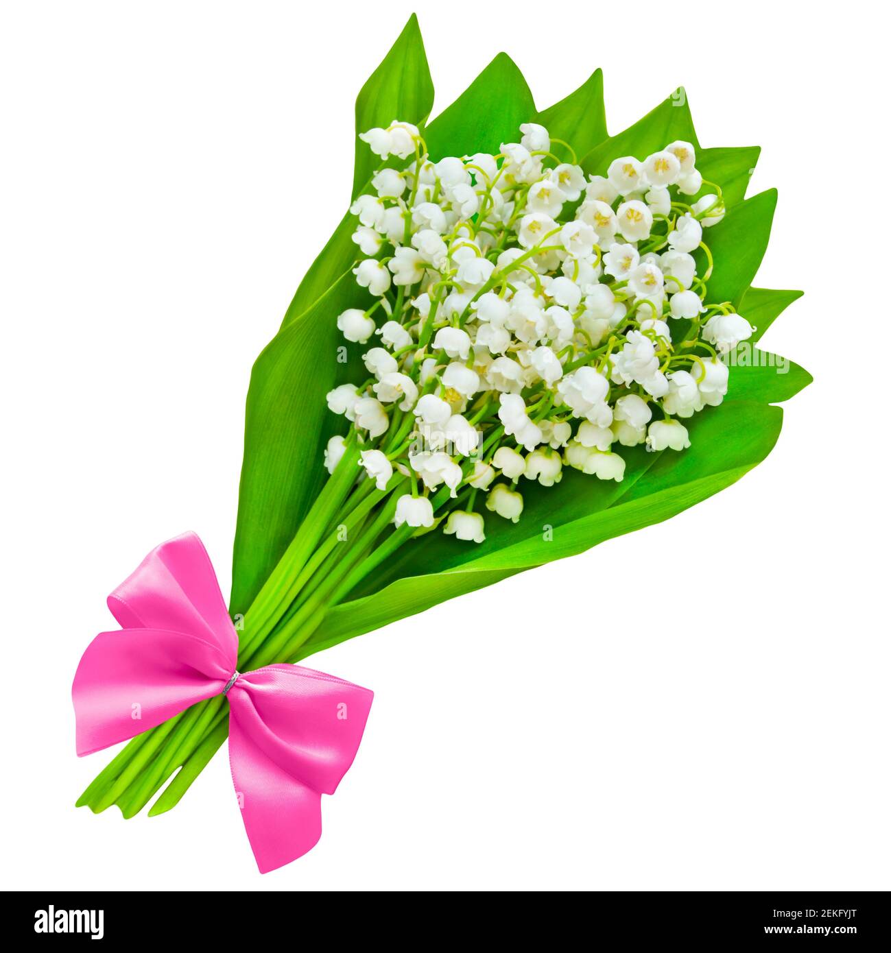 Freigestellte High Resolution Stock Photography And Images Alamy