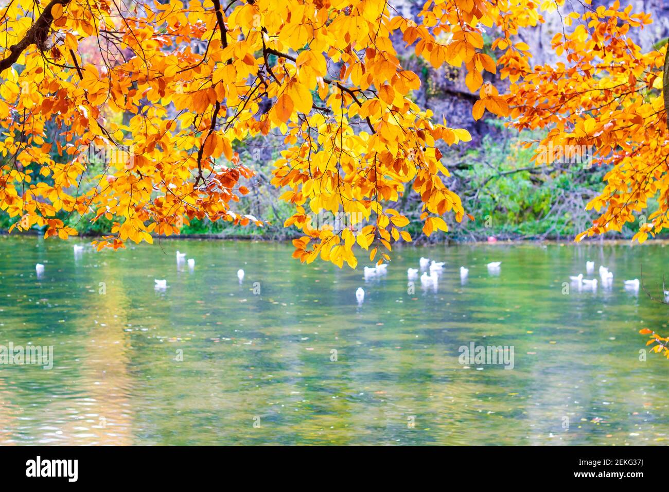 Lake in the center of The Parc des Buttes Chaumont in Paris. Scene is photographed by autumn with yellow and orange leaves highlighted by November sun Stock Photo