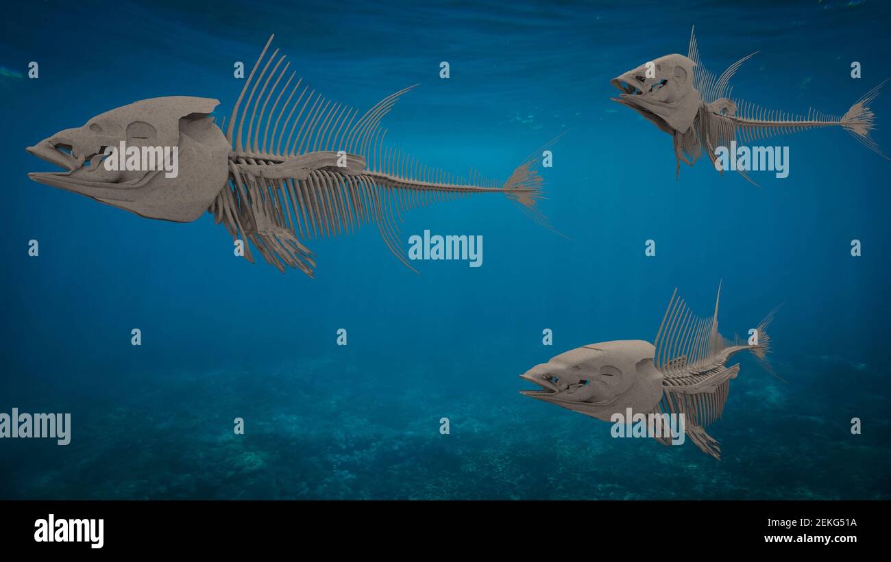 three fish skeletons swimming under the sea, 3d illustration Stock Photo