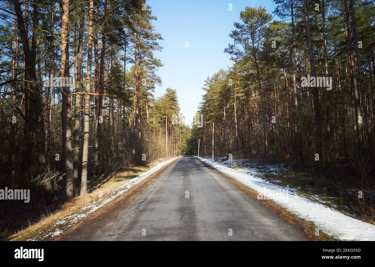 Asphalt road in forest hi-res stock photography and images - Alamy