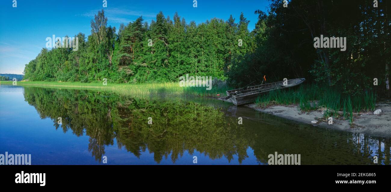 Lake and Forest, Lake Pielinen, Eno, North Karelia, Finland Stock Photo