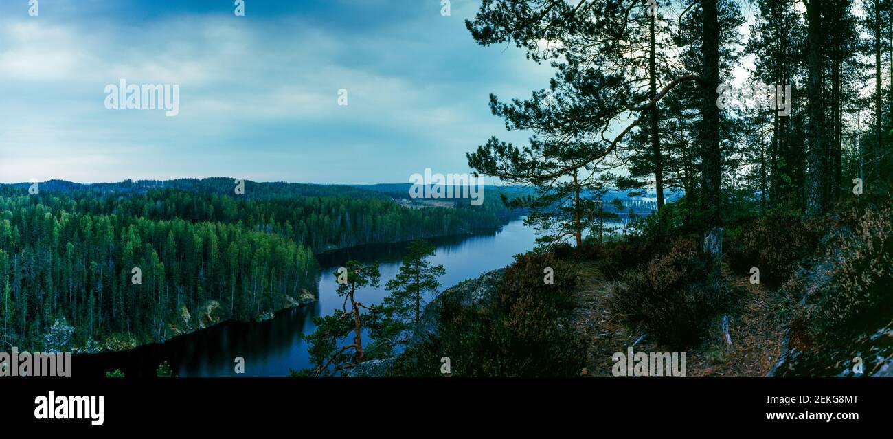 River and forest, Hauskavouri, Ryokolahti, South Karelia, Finland Stock Photo