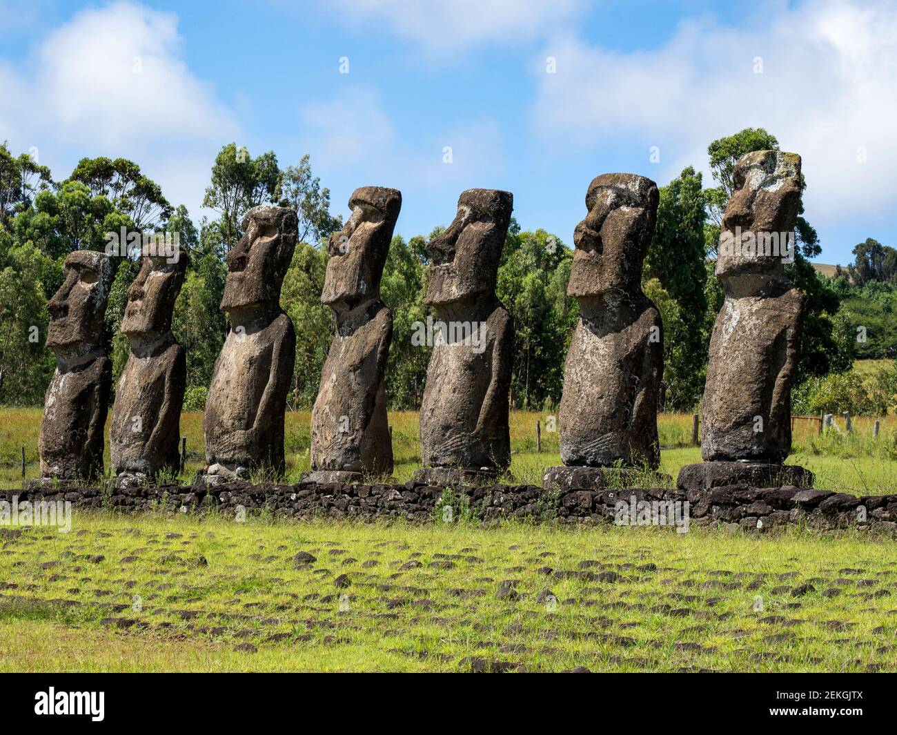 Ahu Akiva, facing water, Easter Island, Chilean Polynesia Stock Photo