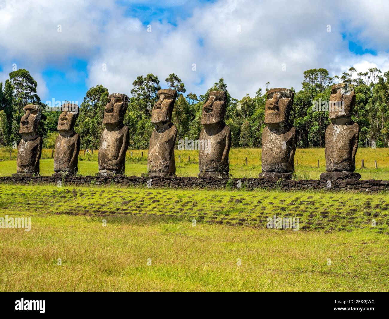 Ahu Akiva, facing water, Easter Island, Chilean Polynesia Stock Photo