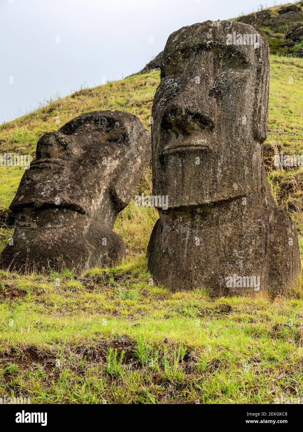 Moai statues at Rano a Raraku, Easter Island, Chilean Polynesia Stock Photo