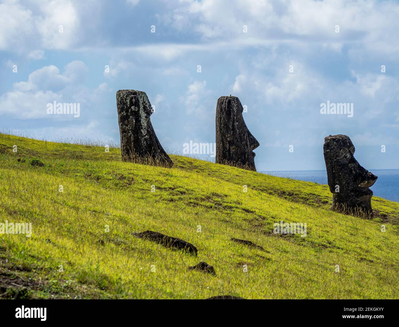 Moai statues at Rano a Raraku, Easter Island, Chilean Polynesia Stock Photo