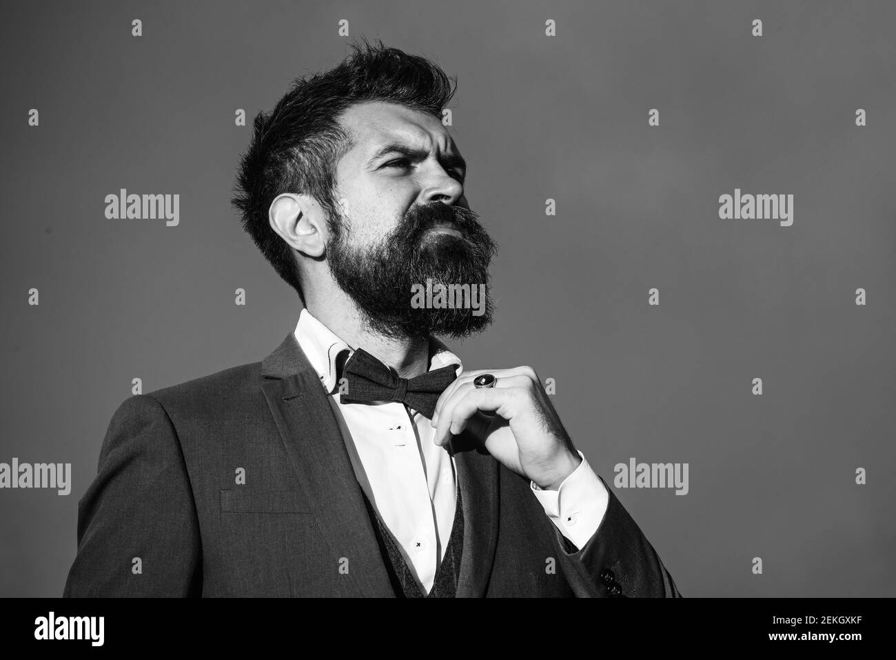 Man with beard and mustache. Hipster with stylish appearance. Guy with thoughtful face in luxury classic suit touches bow tie. Stock Photo
