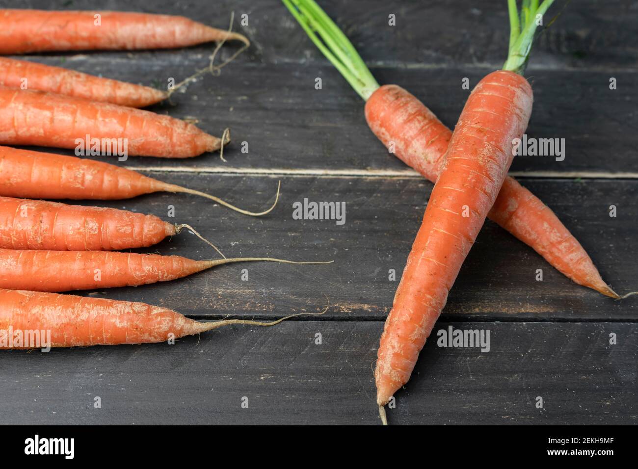 Bunch of carrots with two crossed fresh carrots on wooden background
