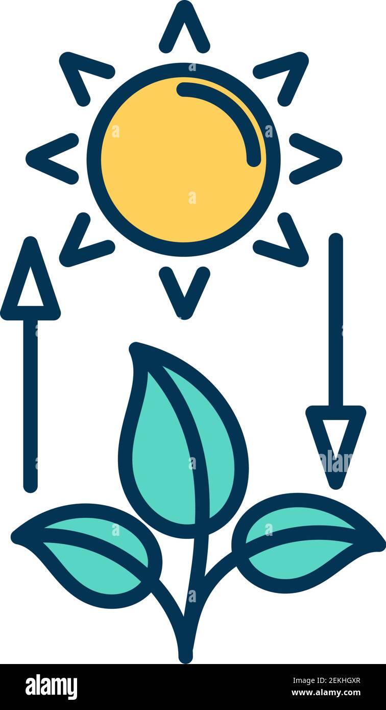 Competent photosynthesis RGB color icon Stock Vector Image & Art - Alamy