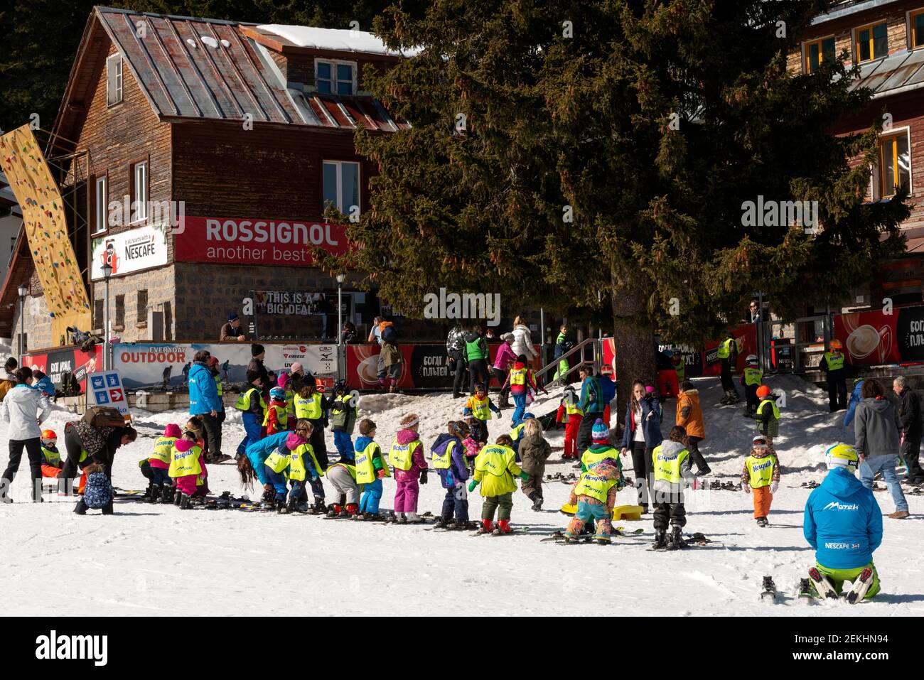 Children attending ski school learning to ski at the Aleko Hut in Vitosha Mountain near Sofia, Bulgaria, Eastern Europe, EU as of February 2021. Stock Photo