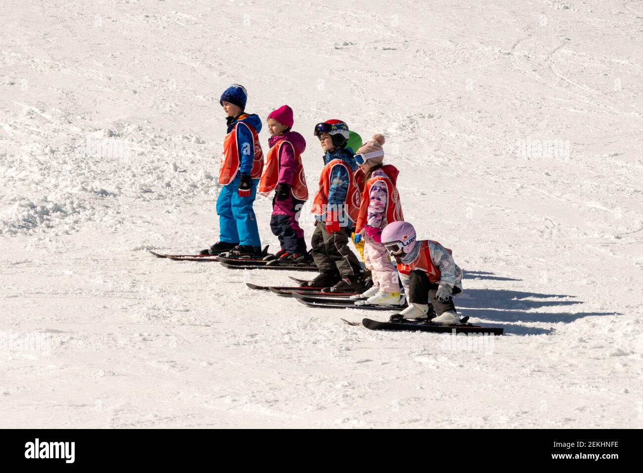 Sofia Bulgaria group of children on ski slope attending ski school learning to ski in Vitosha Mountain near the Bulgarian capital in Eastern Europe Stock Photo