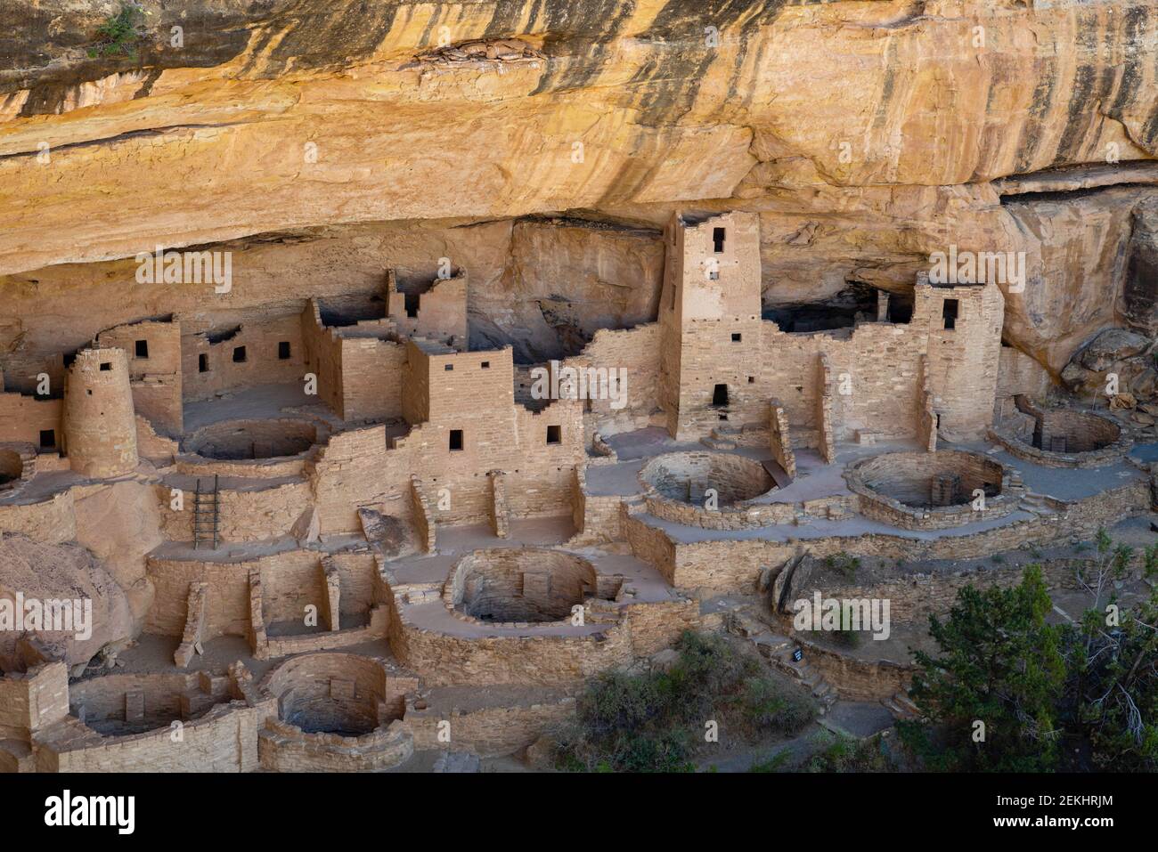 Cliff Palace. Image from Mesa Verde National Park near Durango, Colorado, showing ancient Anasazi dwellings. Stock Photo