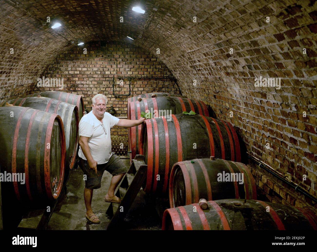 Hungarian wine makrer Zoltan Huszar pictured inside the wine cellar at the Huszár family winery