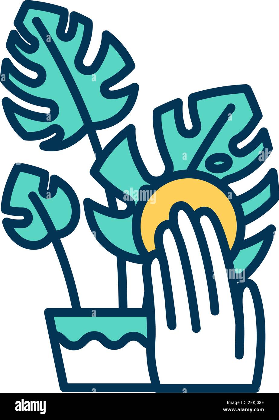 cleaning-indoor-plant-leaves-rgb-color-icon-stock-vector-image-art