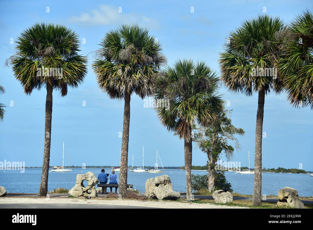 Older couple seated under palm trees overlooking a boat mooring on a coastal waterway. Stock Photo