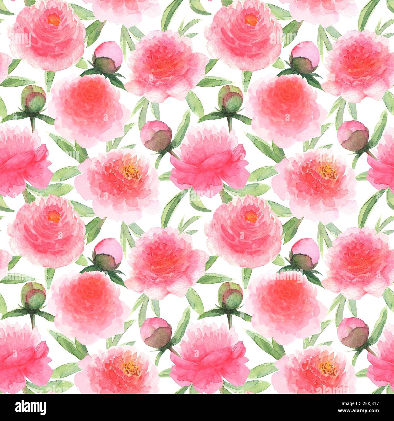 Watercolor pink peonies flowers. Beautiful floral seamless pattern ...