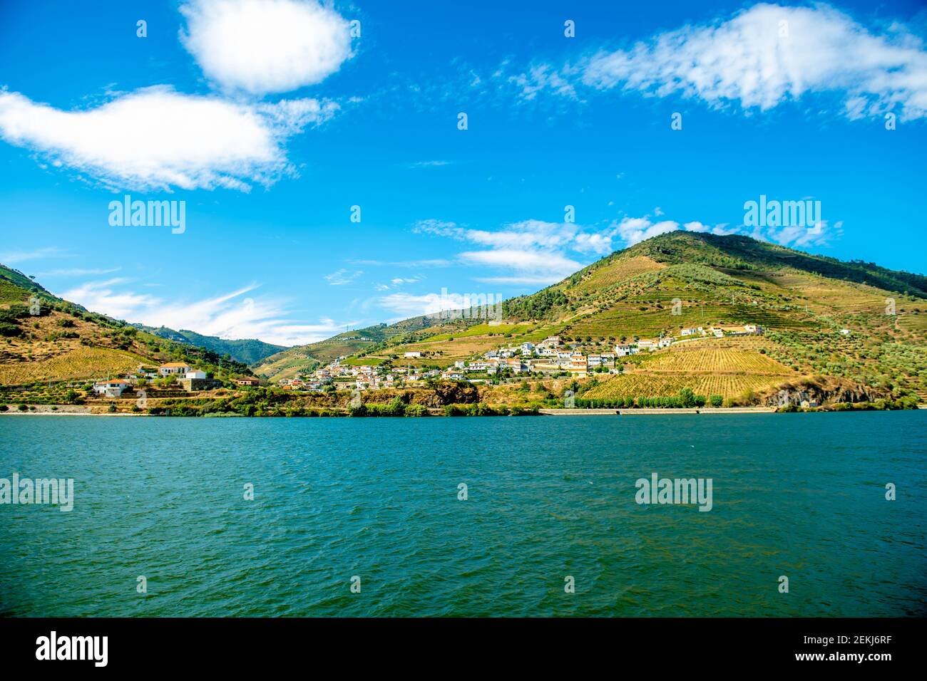 Vineyard region Alto Douro in the valley of Rio Pinhao, along the Douro