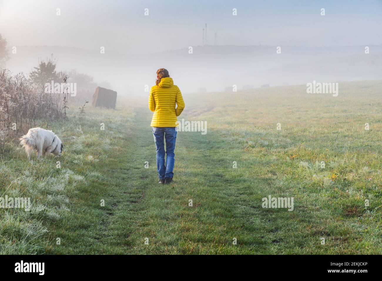 woman with dog walking in early morning foggy landscape Stock Photo