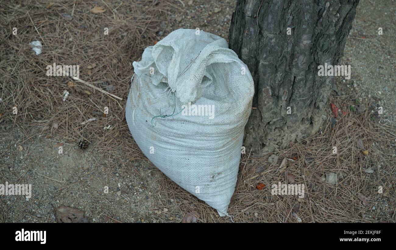 White Old Sack Bag Under the Tree Stock Photo Alamy