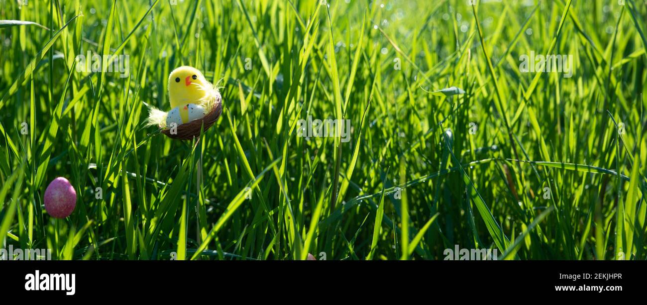 Easter. Cute little bird in the nest among the grass and colored eggs Stock Photo