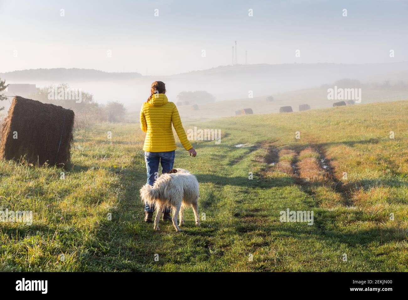 woman with dog walking in early morning foggy landscape Stock Photo