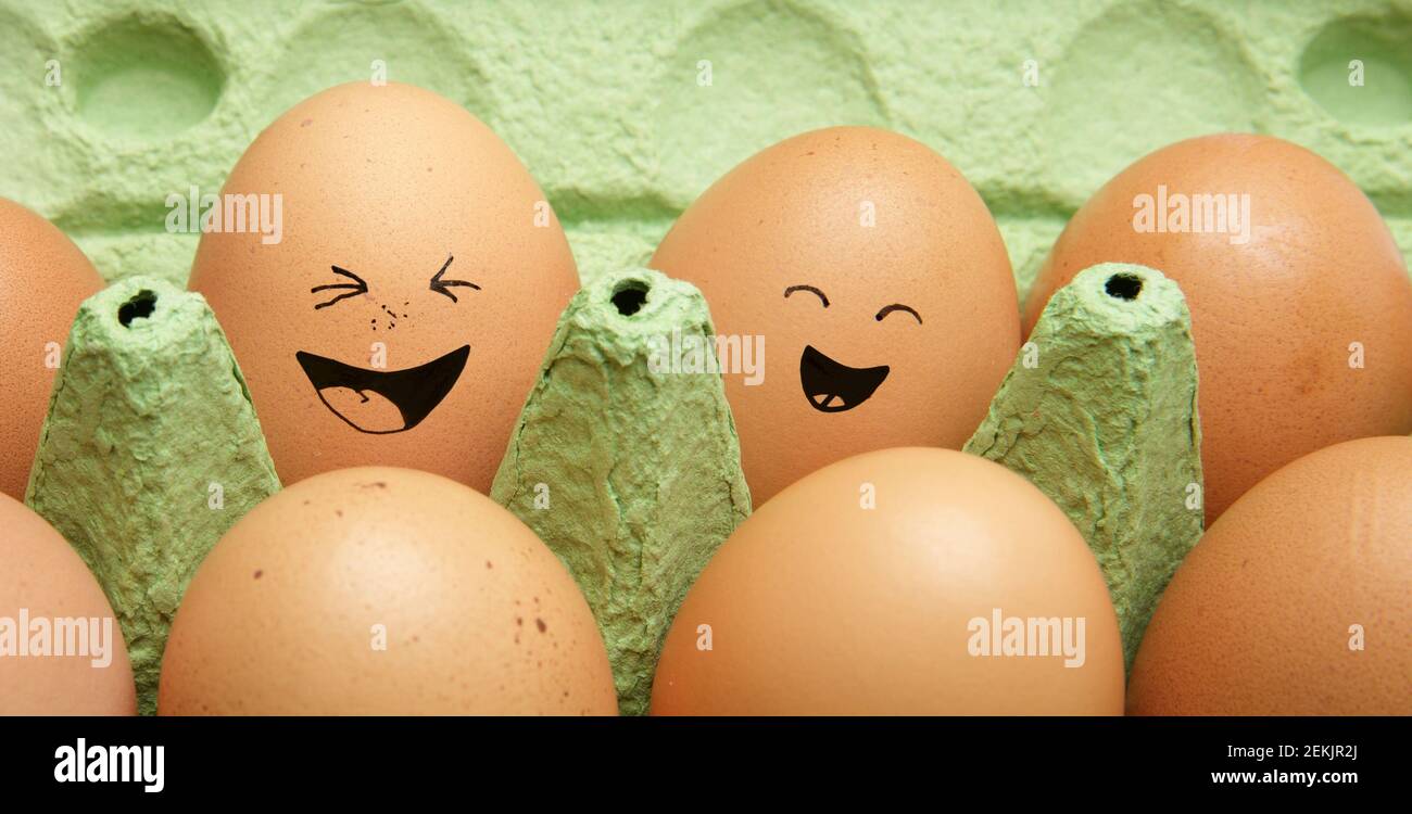 Emotional chicken eggs in a tray. Different grimaces drawn on chicken eggs. Stock Photo