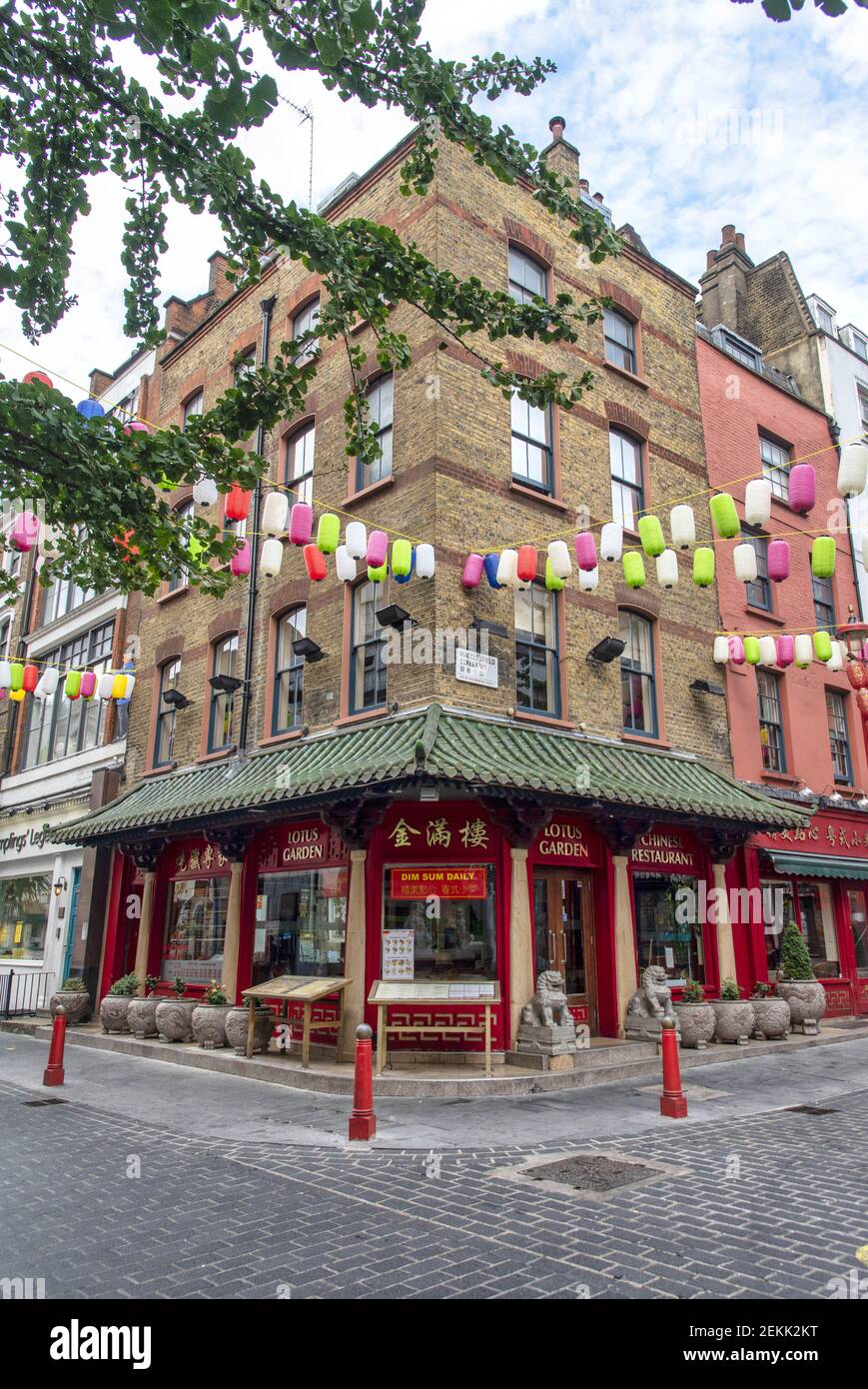 Lotus garden sale restaurant