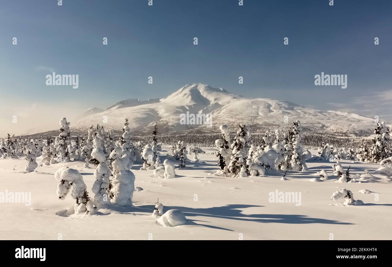 Deep snow blankets the taiga surrounding Gunsight Mountain near Tahneta Pass in Southcentral Alaska. Stock Photo