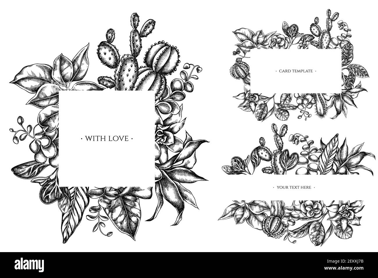 Floral frames with black and white ficus, iresine, kalanchoe, calathea, guzmania, cactus Stock Vector