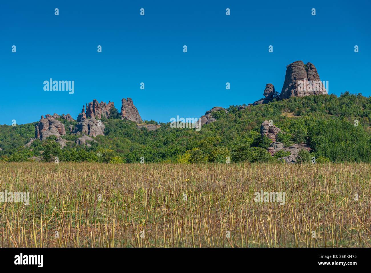 Rock formations called Belogradchik rocks in Bulgaria Stock Photo - Alamy