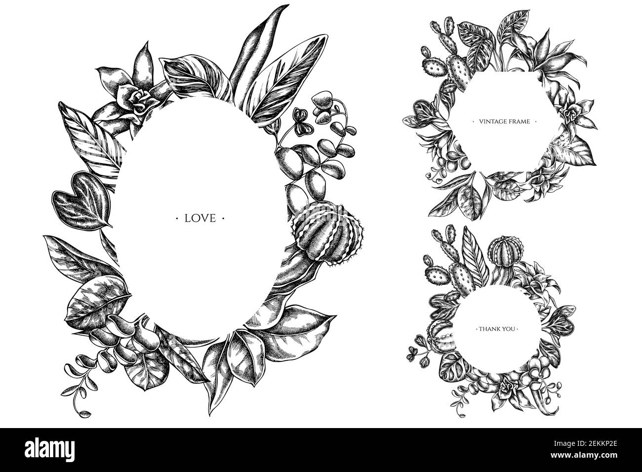 Floral frames with black and white ficus, iresine, kalanchoe, calathea, guzmania, cactus Stock Vector
