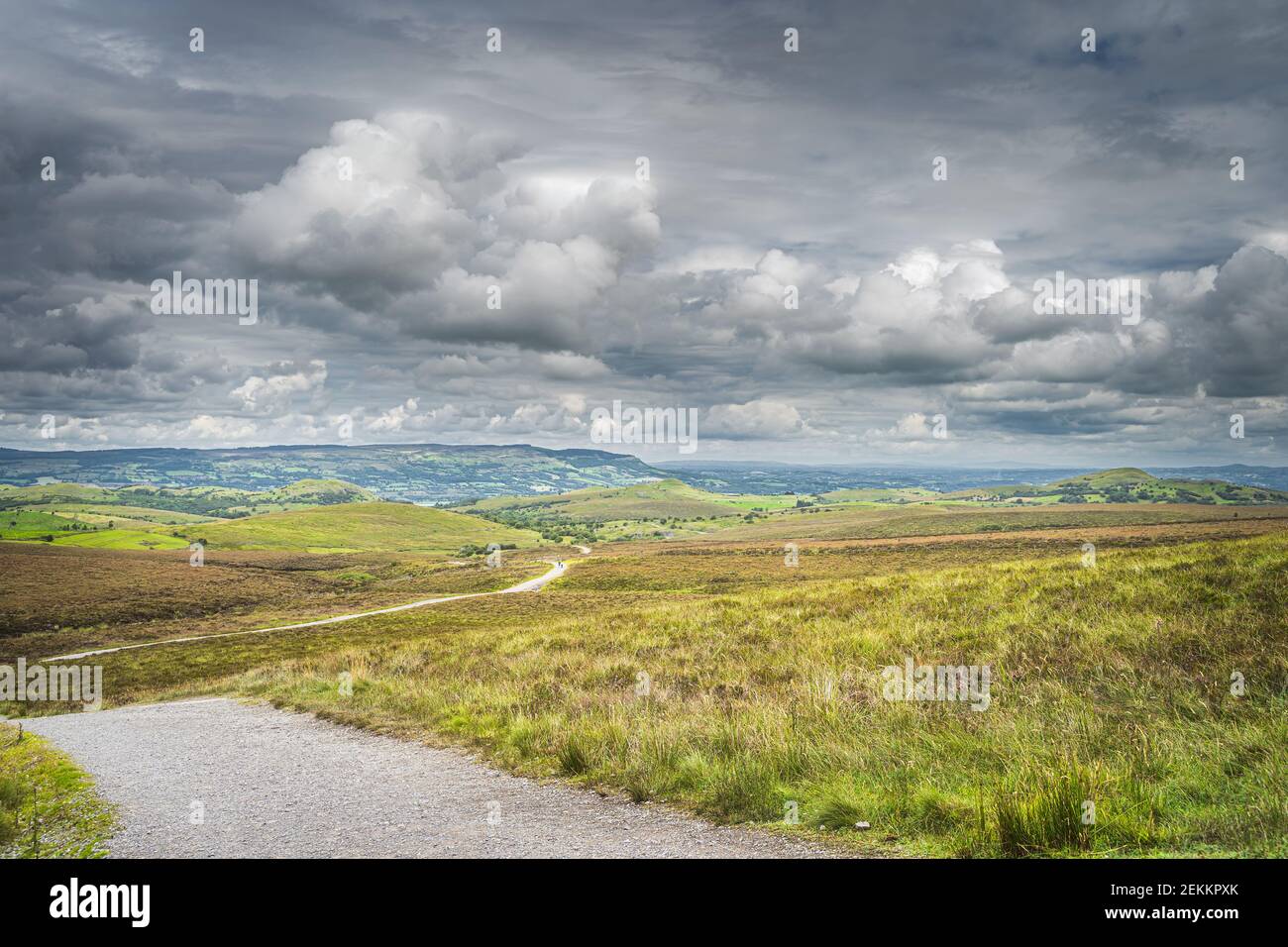 Footpath or trail winding between green hills and peatbog with stormy, dramatic sky in background, Cuilcagh Mountain Park, Northern Ireland Stock Photo