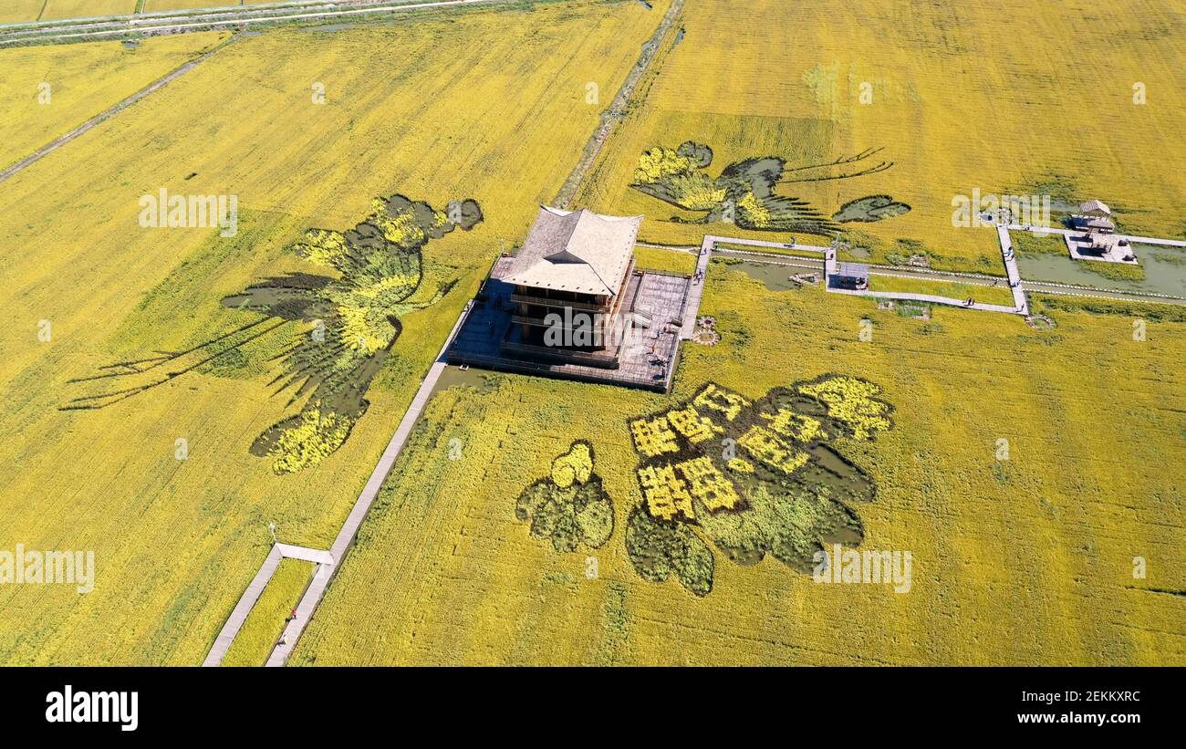 Five enormous yellow Chinese characters saying