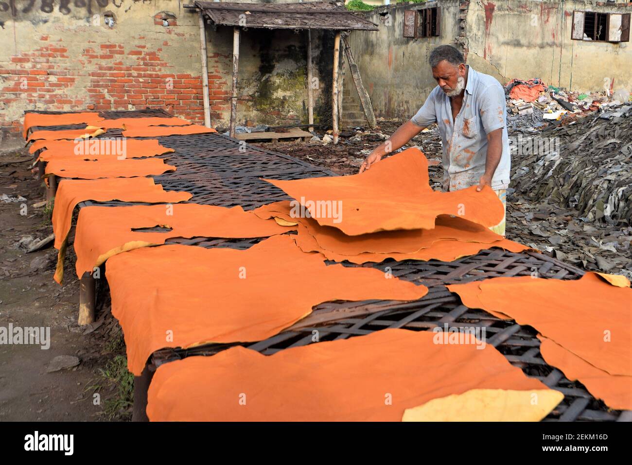 A worker displays the tanned animal hides he's working at a tannery  industry in Hazaribagh, Dhaka. Most of this area people have become victims  of pollution due to the presence of toxic