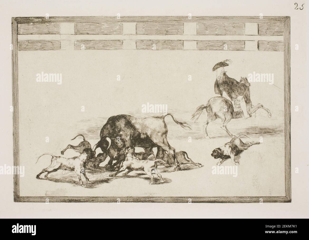 Francisco de Goya (1746-1828), they polite the dogs on Taurus, 1815-1816 Stock Photo